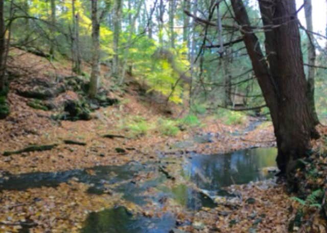 Camper-submitted photo at Pharsalia Y Pond near Marietta, NY