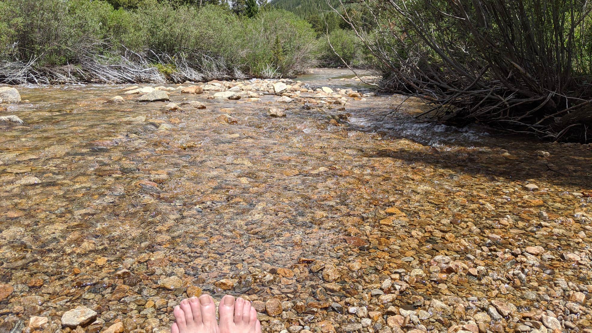 Winfield Camping Area Camping The Dyrt