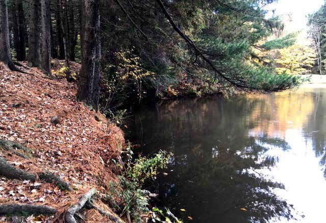 Camper-submitted photo at Pharsalia Y Pond near Marietta, NY