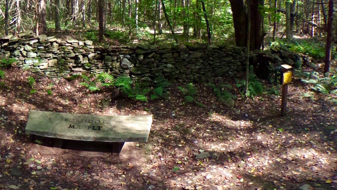 Camper-submitted photo at Pharsalia Woods Lean-To Campsite near West Edmeston, NY
