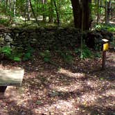Review photo of Pharsalia Woods Lean-To Campsite by Janet R., November 6, 2017