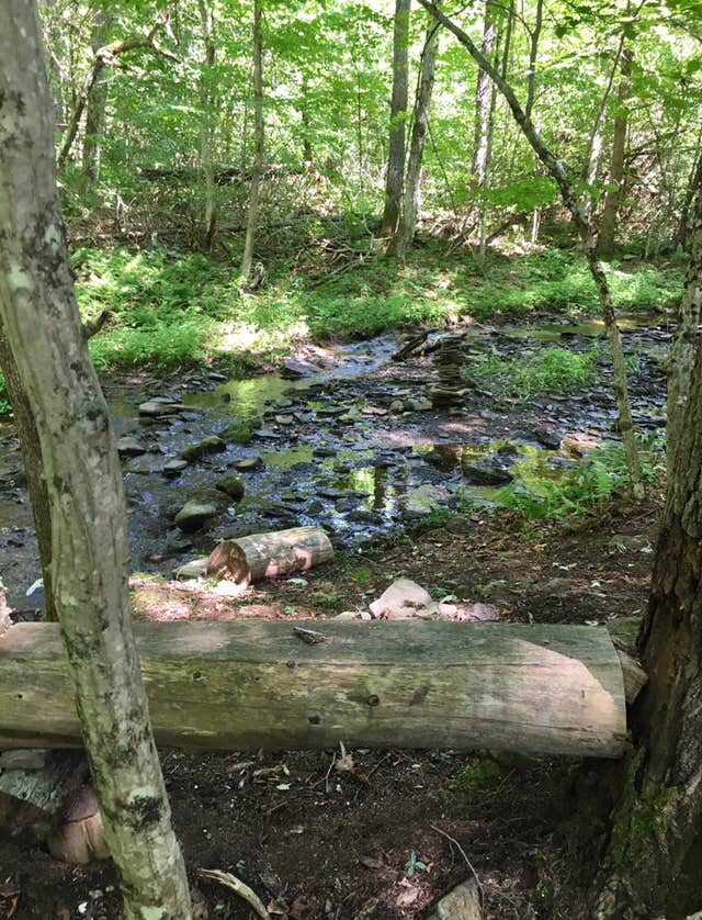 Camper submitted image from Pharsalia Woods Lean-To Campsite - 3