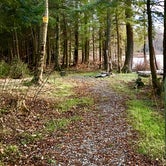 Review photo of Balsam Swamp State Forest by Janet R., November 28, 2017