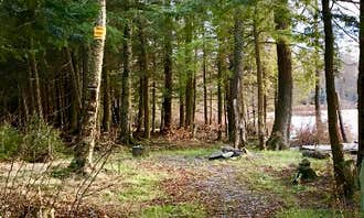 Camping near Ludlow Creek Lean-To Campsite: Balsam Swamp State Forest, Cincinnatus, New York