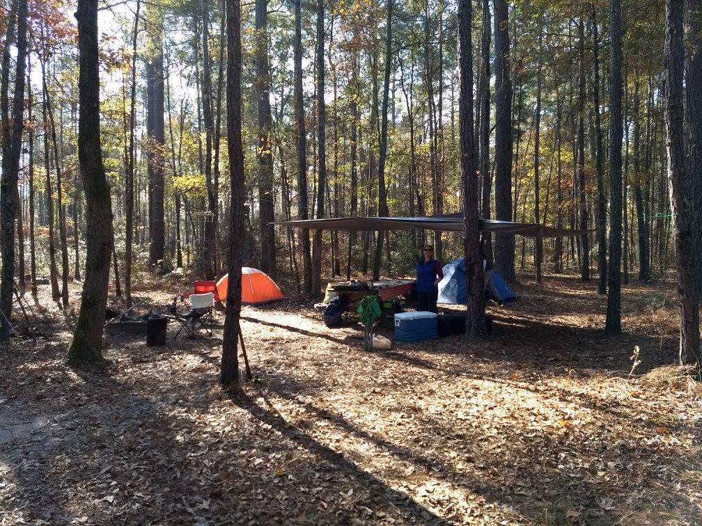 Emily S.'s photo of tent camping at Longleaf Campground — Congaree National Park near Cayce, SC