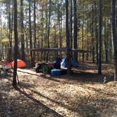 Review photo of Longleaf Campground — Congaree National Park by Emily S., December 5, 2017