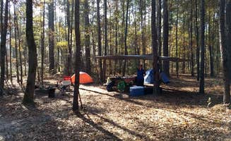 Emily S.'s photo at Longleaf Campground — Congaree National Park near Blythewood, SC