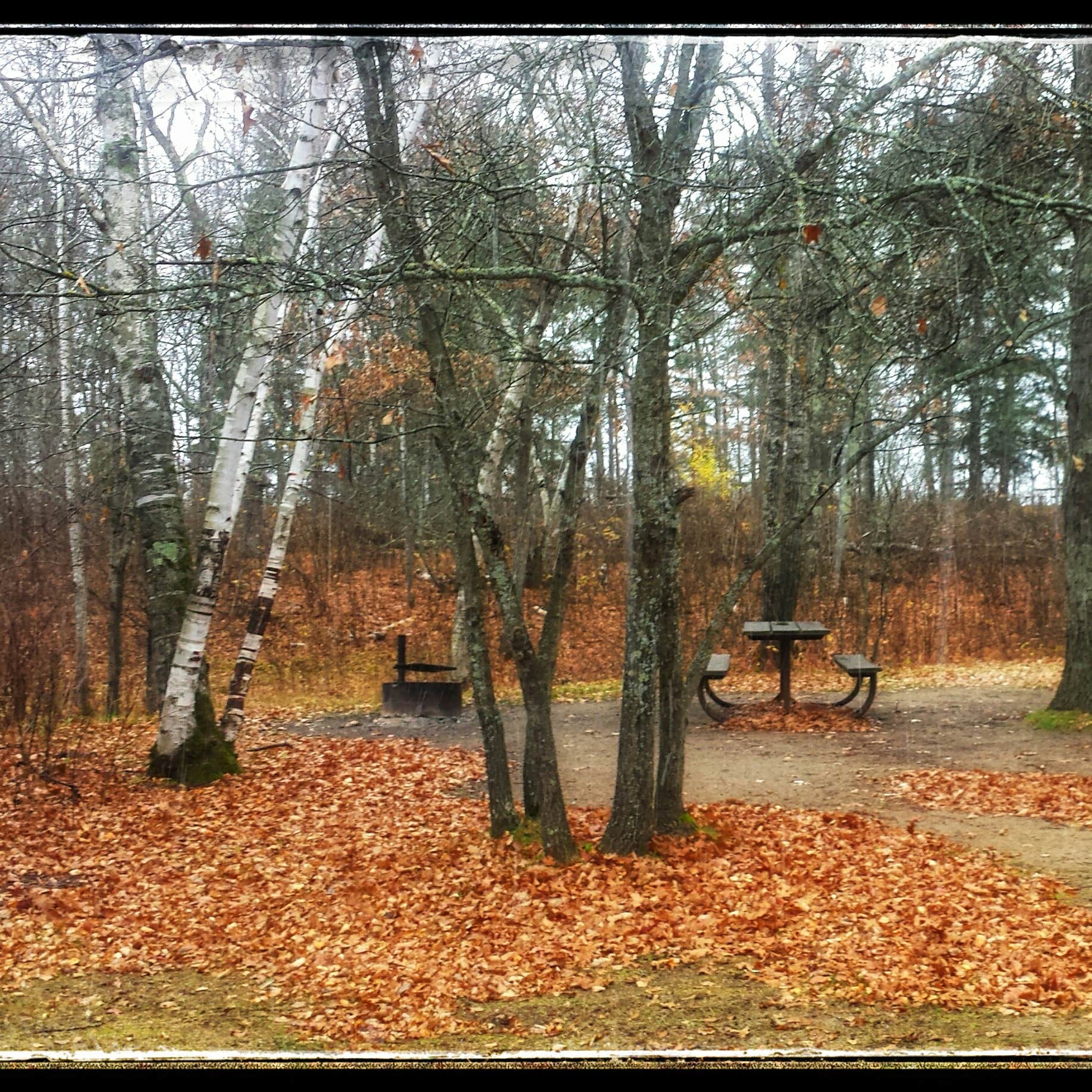 Mantrap Lake Campground and DayUse Area Camping The Dyrt