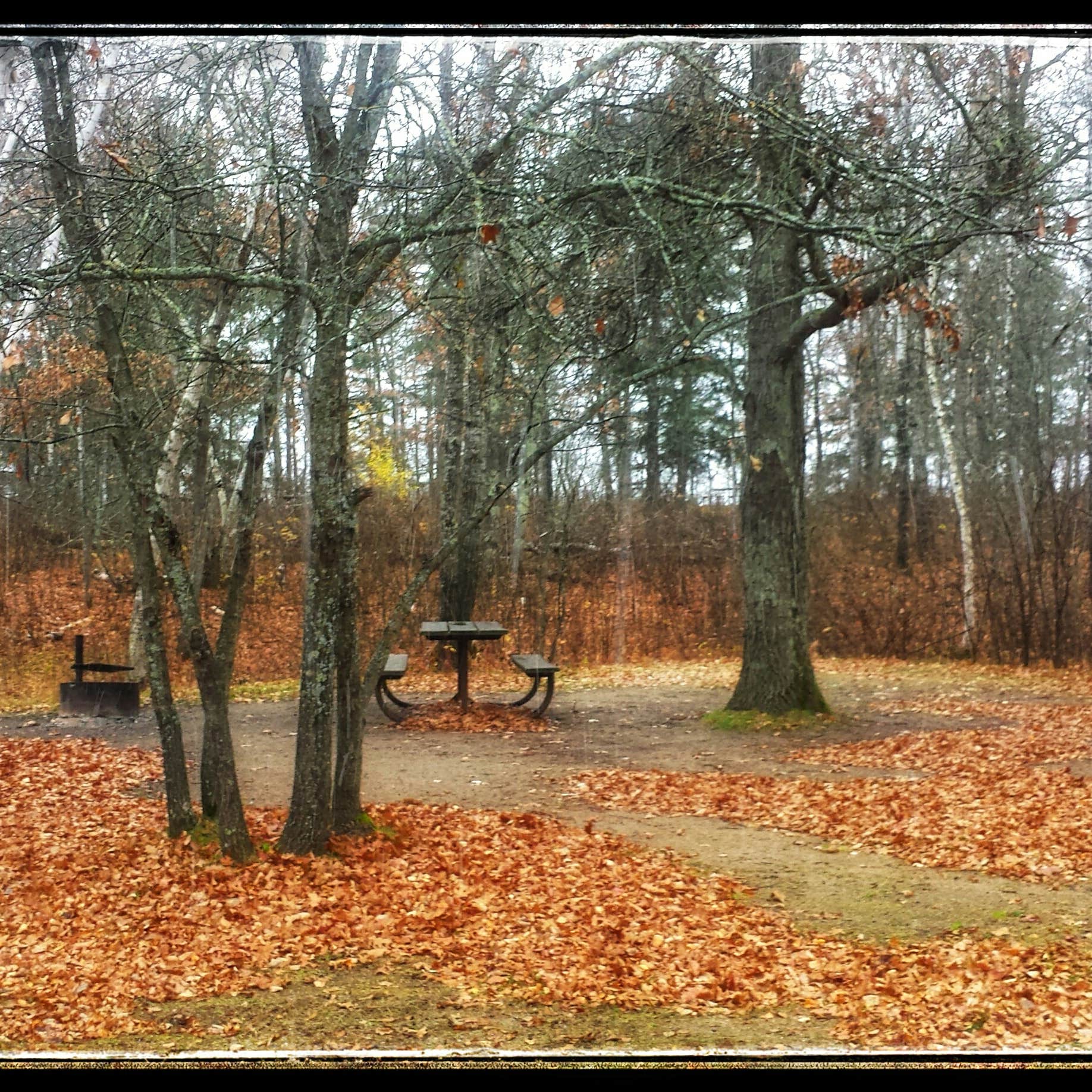 Escape To Serenity: Unwind At Minnesota’s Mantrap Lake Campground