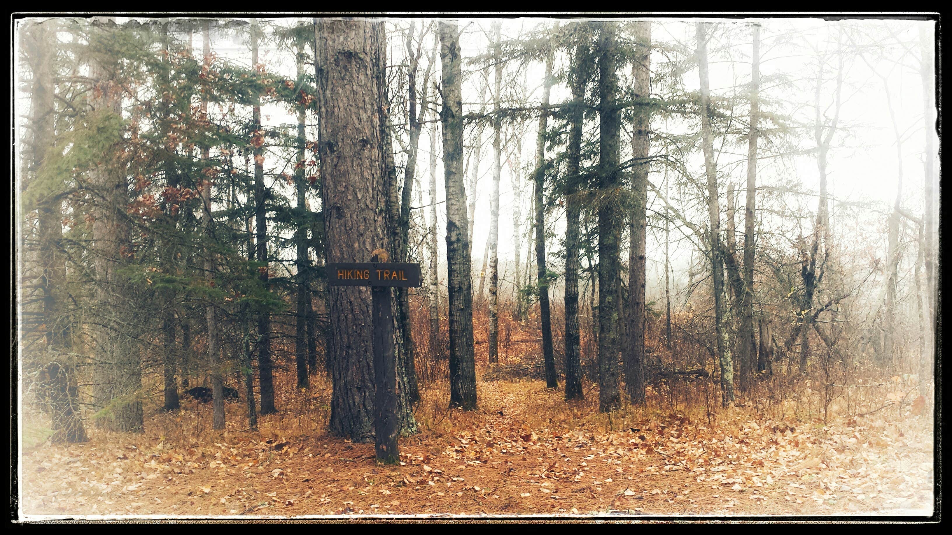 Camper-submitted photo at Mantrap Lake Campground and Day-Use Area near Laporte, MN