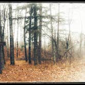 Review photo of Mantrap Lake Campground and Day-Use Area by Amy G., December 3, 2017