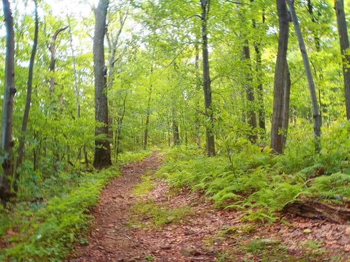 Camper submitted image from Round Valley State Park Campground - 3