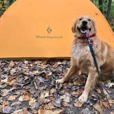 Review photo of Kentuck Campground — Ohiopyle State Park by Ashley S., December 9, 2017