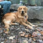 Review photo of Kentuck Campground — Ohiopyle State Park by Ashley S., December 9, 2017