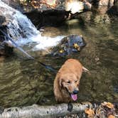 Review photo of Kentuck Campground — Ohiopyle State Park by Ashley S., December 9, 2017