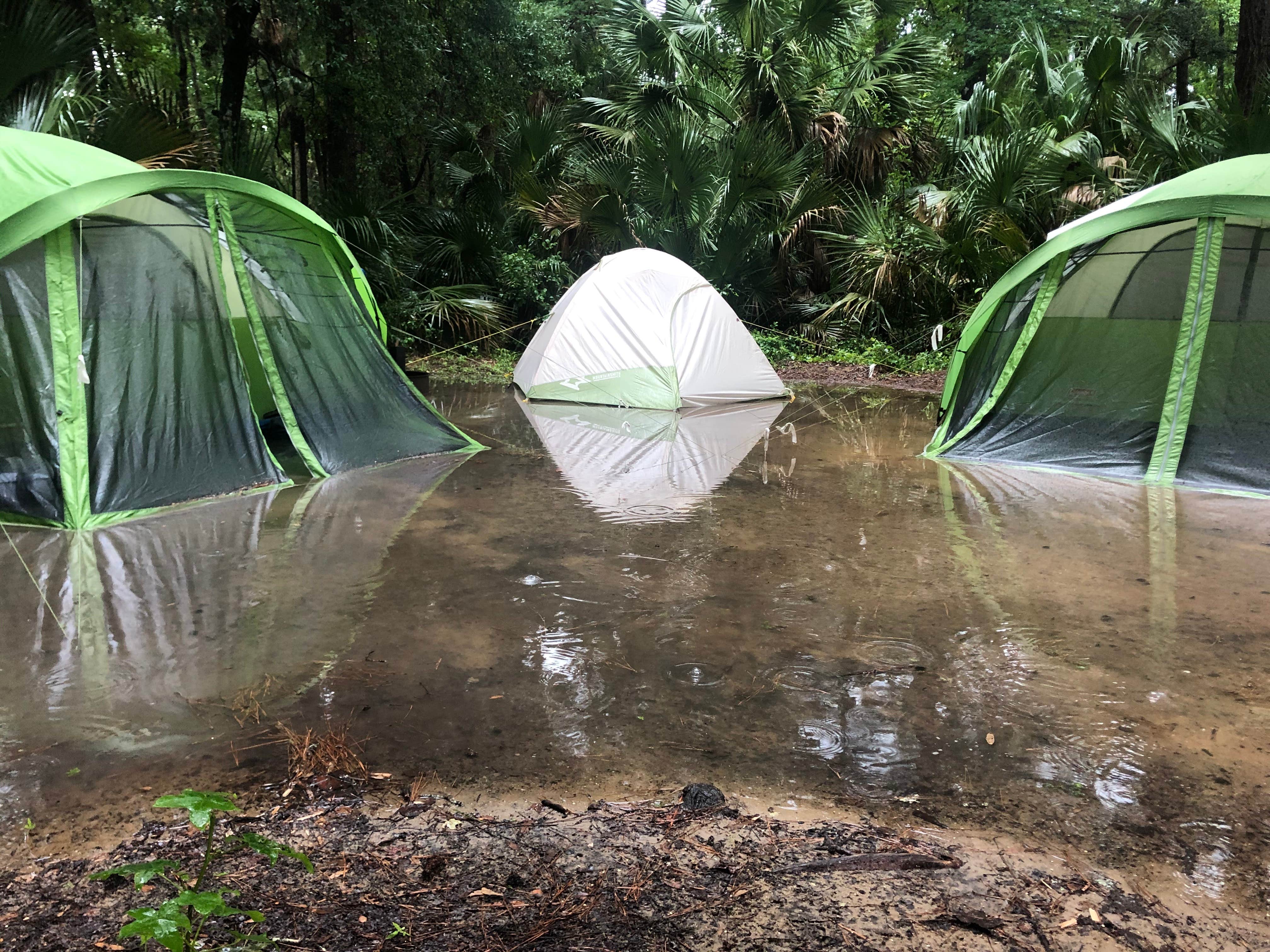 Camper-submitted photo at Juniper Springs Rec Area - Tropical Camp Area near Ocala National Forest