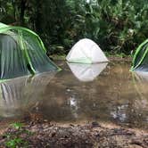 Review photo of Juniper Springs Rec Area - Tropical Camp Area by Nick C., July 6, 2020