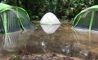 Nick C.'s photo at Juniper Springs Campground near Ocala National Forest