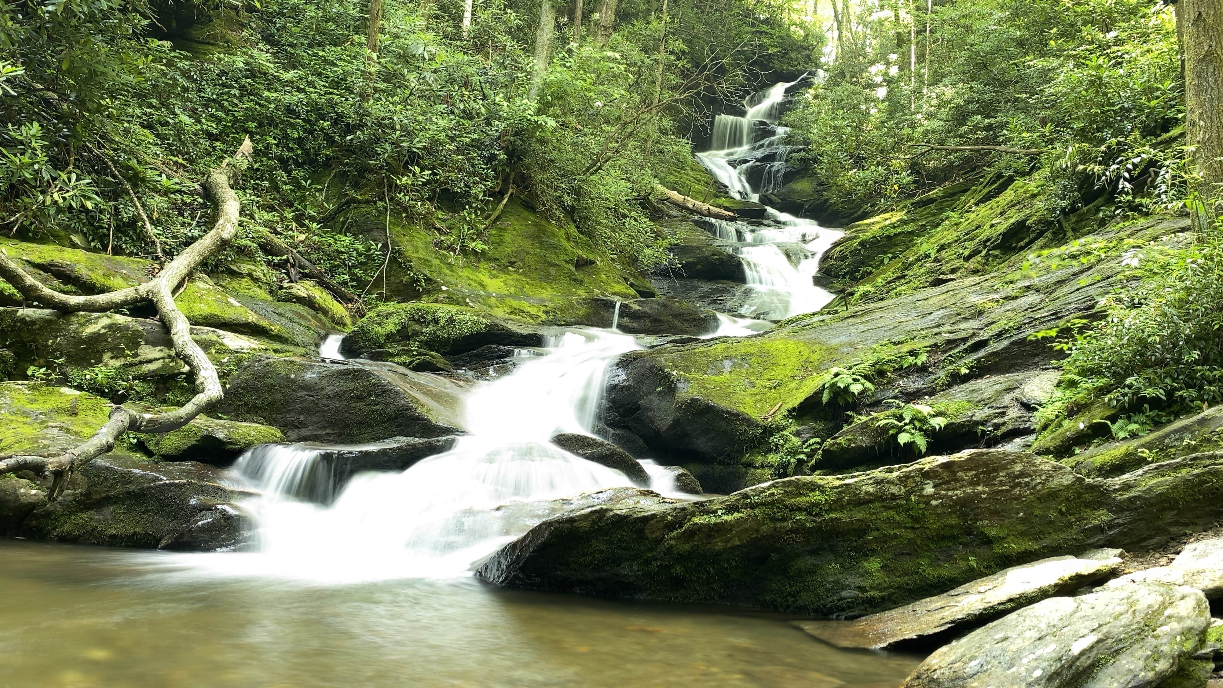 Camper submitted image from Briar Bottom Group Campground - 2