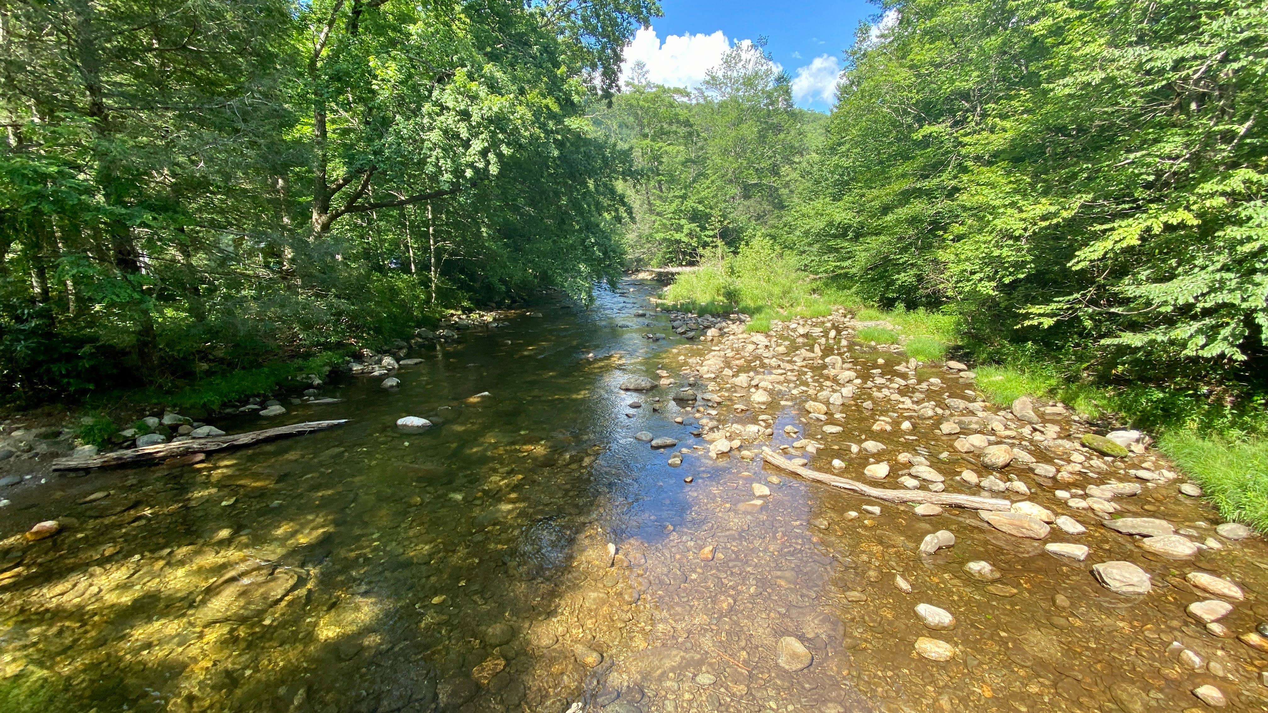 Camper submitted image from Briar Bottom Group Campground - 3