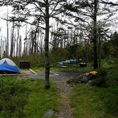 Review photo of Mount Mitchell State Park Campground by Katy S., July 6, 2020