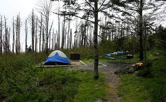 Katy S.'s photo at Mount Mitchell State Park Campground near Montreat, NC