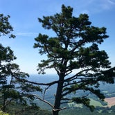 Review photo of Pilot Mountain State Park Campground — Pilot Mountain State Park by Katy S., July 6, 2020