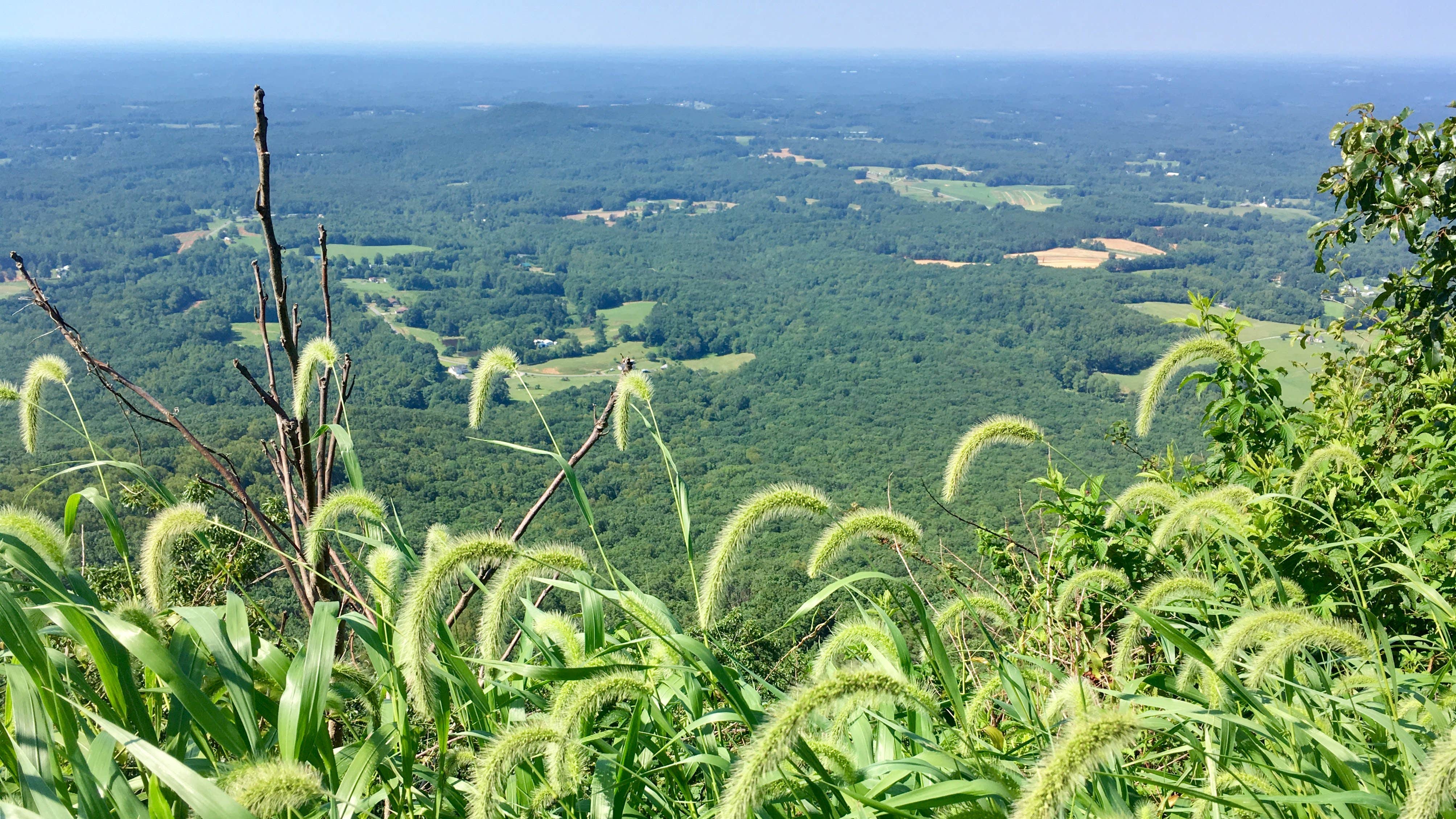 View All
