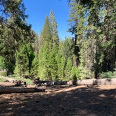 Review photo of Redwood Meadow by Ashley S., July 6, 2020