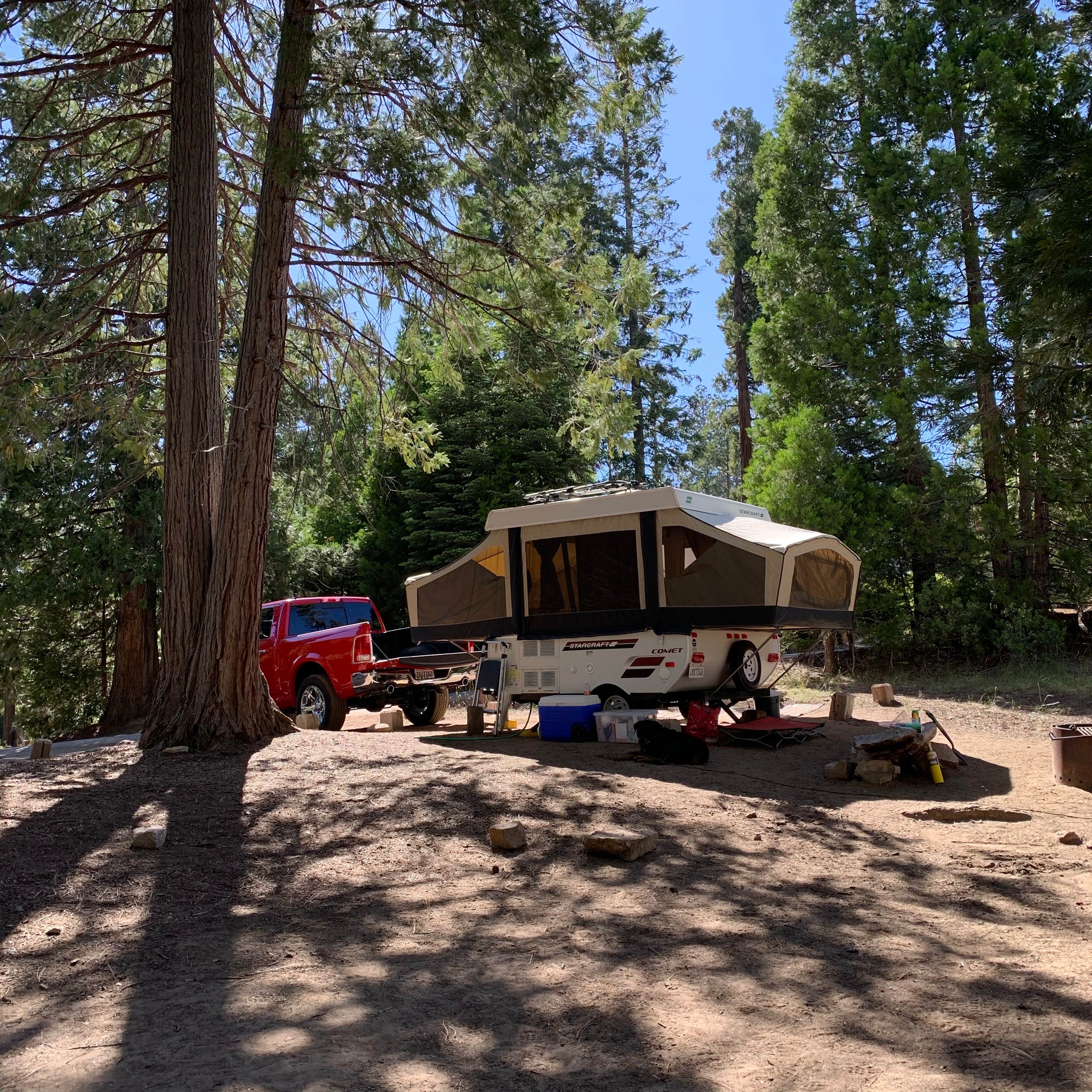Ashley S.'s photo at Redwood Meadow near Sequoia National Forest