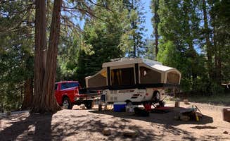 Ashley S.'s photo at Redwood Meadow near California Hot Springs, CA