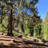 Review photo of Redwood Meadow by Ashley S., July 6, 2020