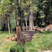 Review photo of Redwood Meadow by Ashley S., July 6, 2020