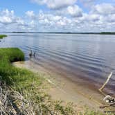 Review photo of Carolina Beach State Park Campground by Katy S., July 6, 2020