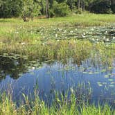 Review photo of Carolina Beach State Park Campground by Katy S., July 6, 2020