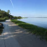Review photo of Carolina Beach State Park Campground by Katy S., July 6, 2020