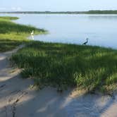 Review photo of Carolina Beach State Park Campground by Katy S., July 6, 2020