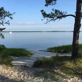 Review photo of Carolina Beach State Park Campground by Katy S., July 6, 2020