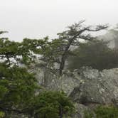 Review photo of Hanging Rock State Park Campground by Katy S., July 6, 2020