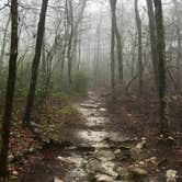 Review photo of Hanging Rock State Park Campground by Katy S., July 6, 2020