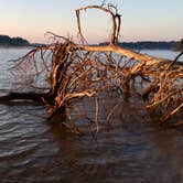 Review photo of Walnut Grove — James River State Park by Katy S., July 6, 2020