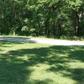 Review photo of Riverview Campground - Loud Thunder Forest Preserve by Dave N., July 6, 2020