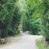 Review photo of Tallulah Gorge River Campground by Johnny  L., July 6, 2020