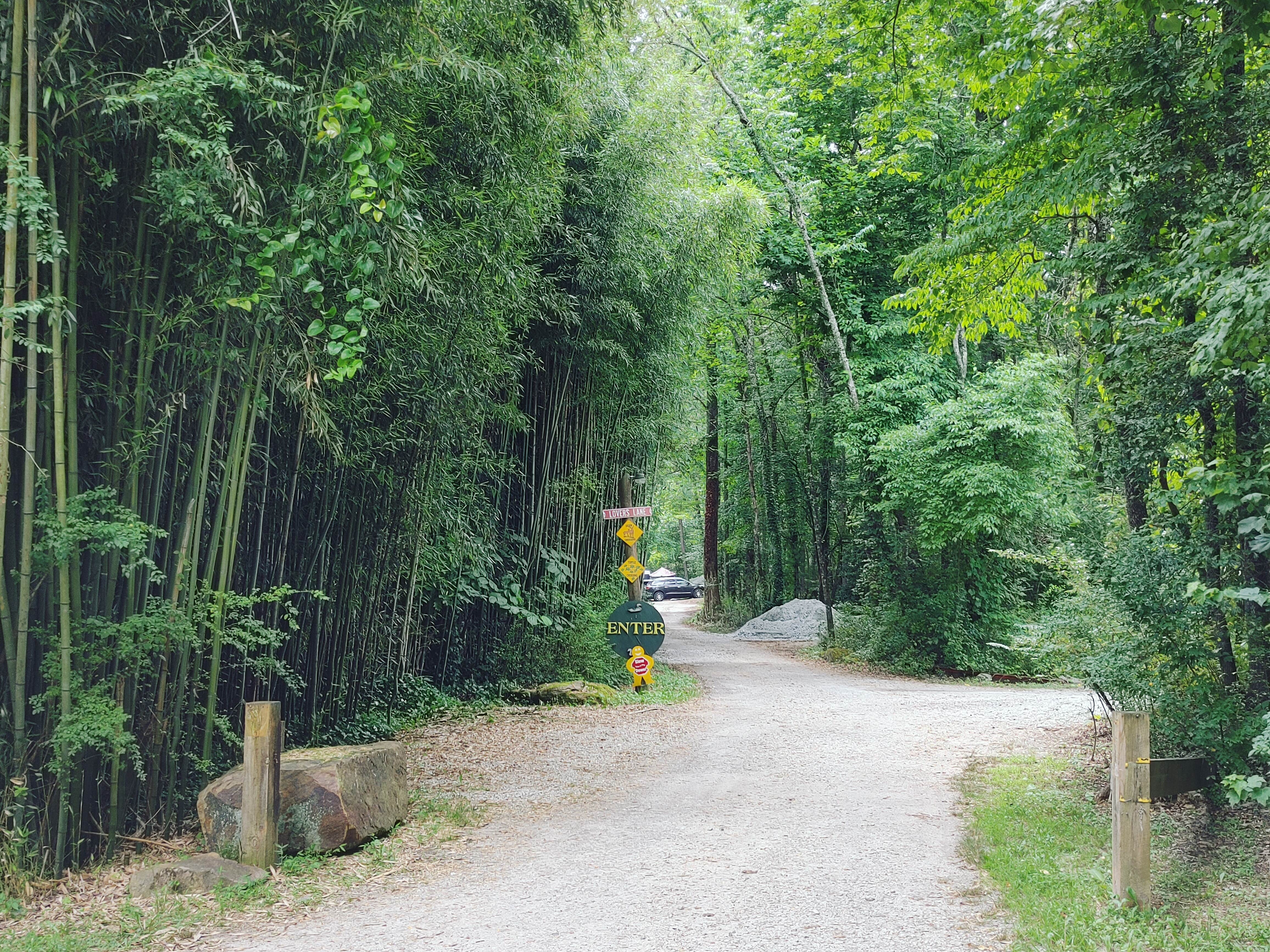 Camper submitted image from Tallulah Gorge River Campground - 4