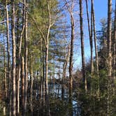 Review photo of Canoe Landing Group Campsite — James River State Park by Janet R., December 12, 2017