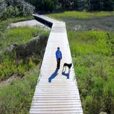 Review photo of Skidaway Island State Park Campground by Jason I., May 6, 2015