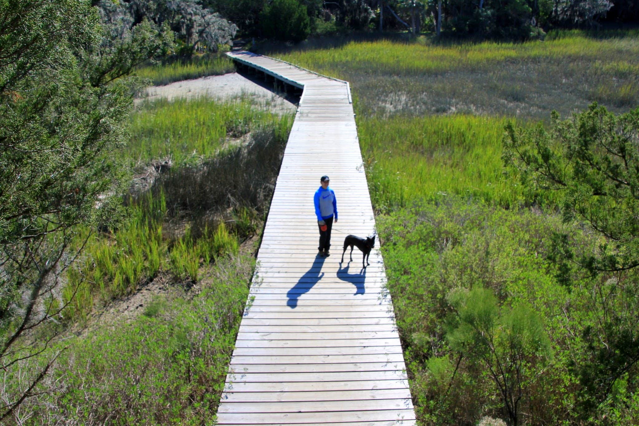 Camper submitted image from Skidaway Island State Park Campground - 5