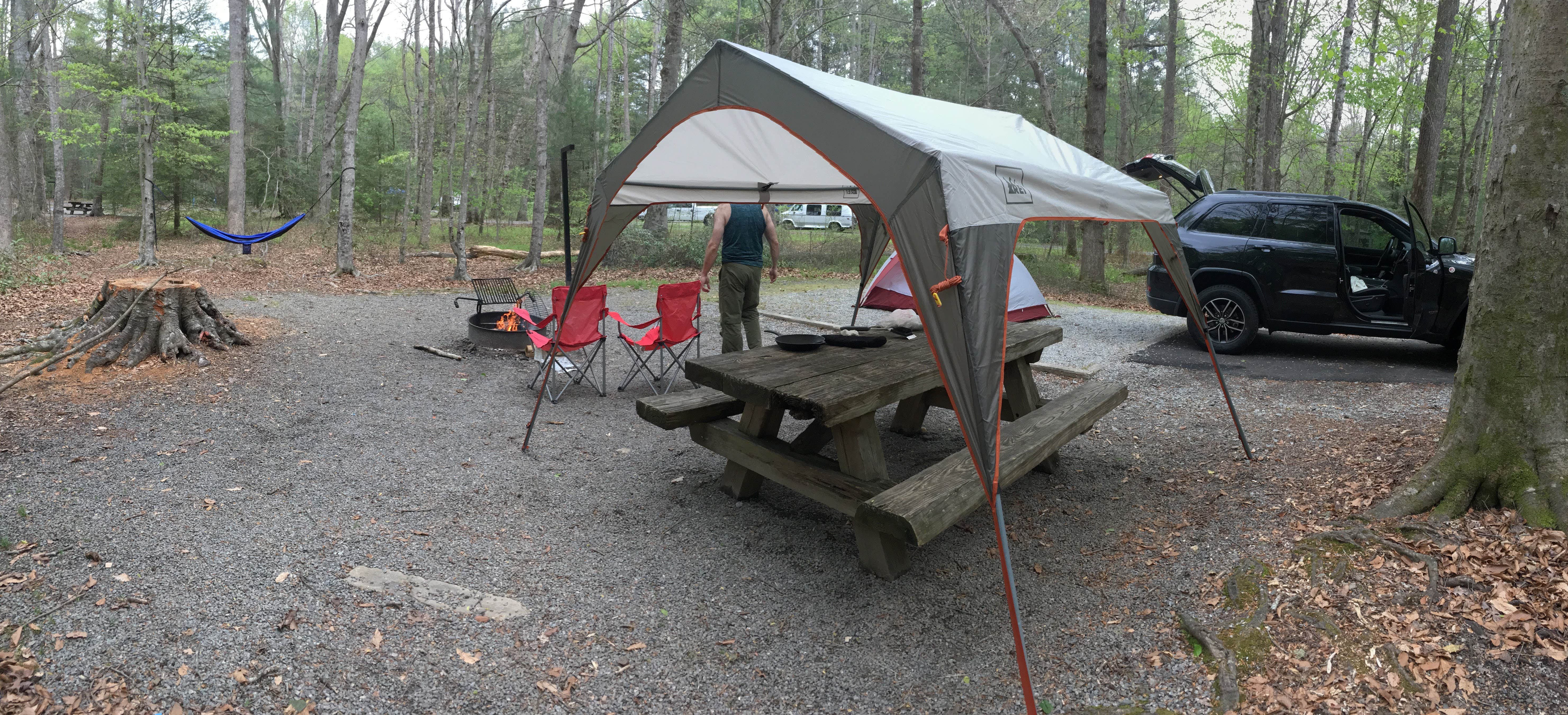 Katy S.'s photo at Davidson River Campground near Etowah, NC