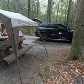 Review photo of Davidson River Campground by Katy S., July 6, 2020