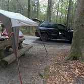 Review photo of Davidson River Campground by Katy S., July 6, 2020